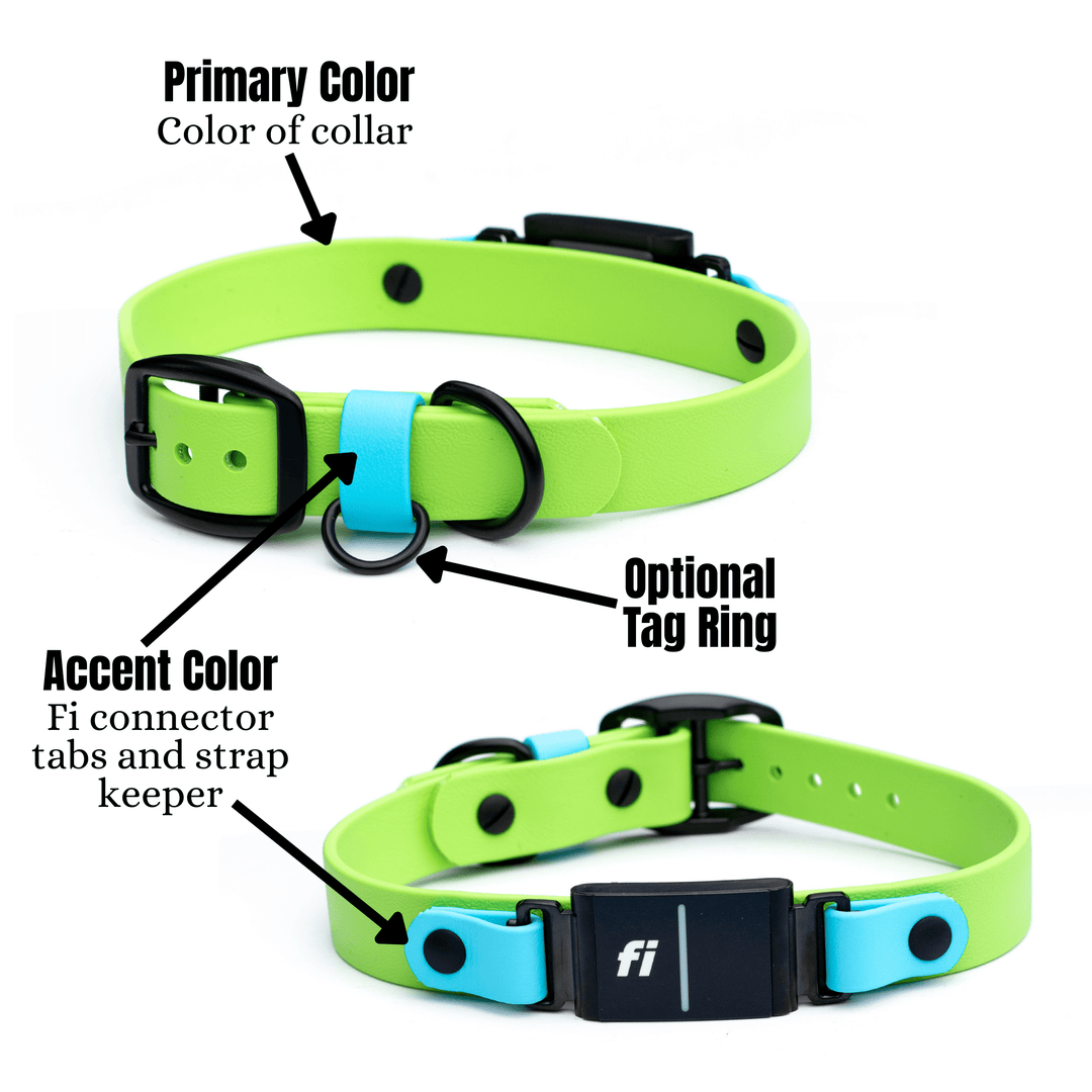 Series 3/3+ Fi Compatible BioThane® Buckle Collar