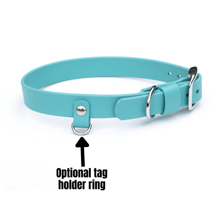 Turquoise dog collar with an optional tag holder ring on a white background