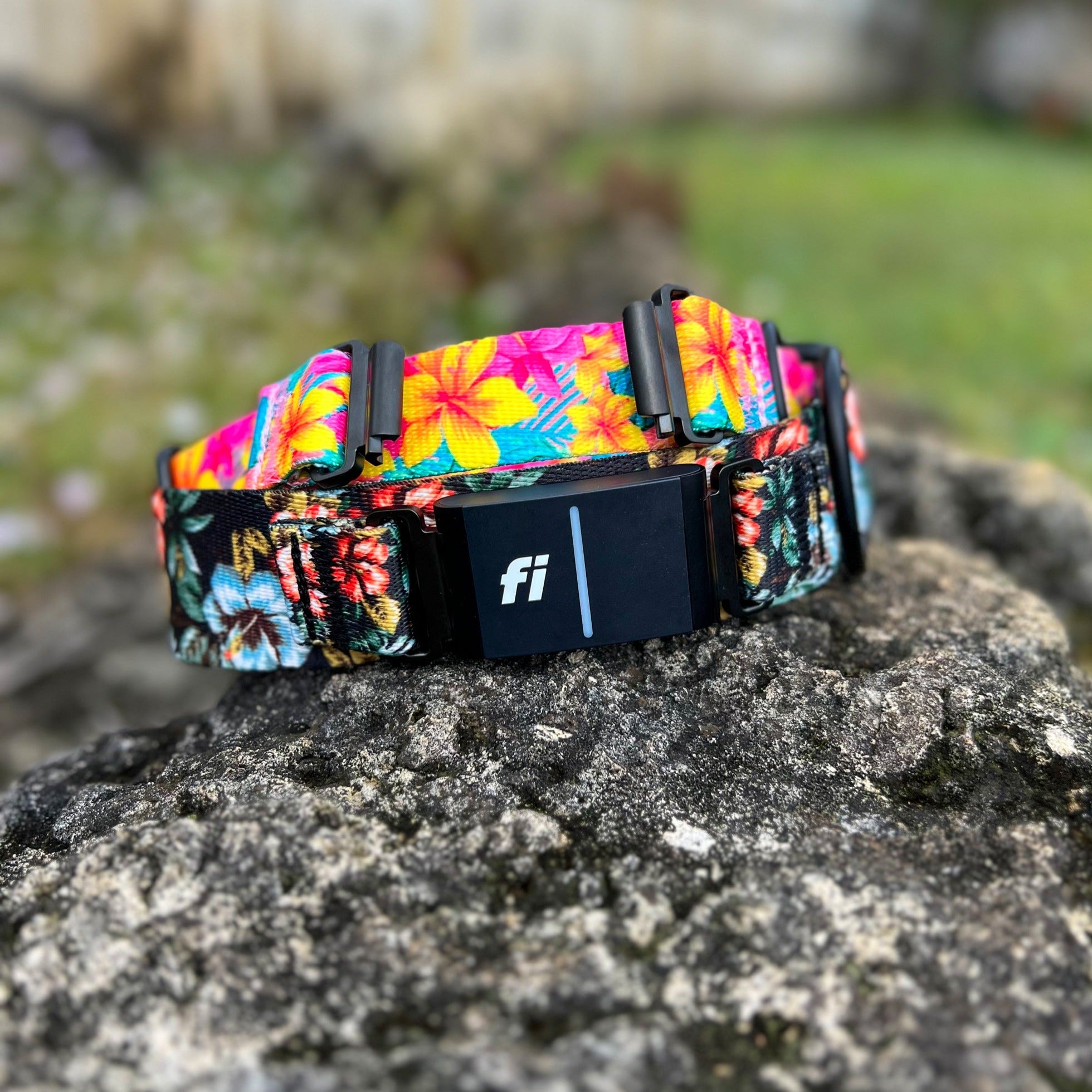 Fi 3 compatible collar  | SeaFlower Co