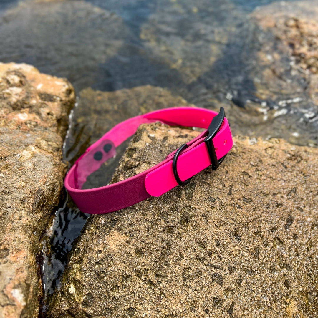 Pink & Wine Two Toned BioThane Collar | SeaFlower Co