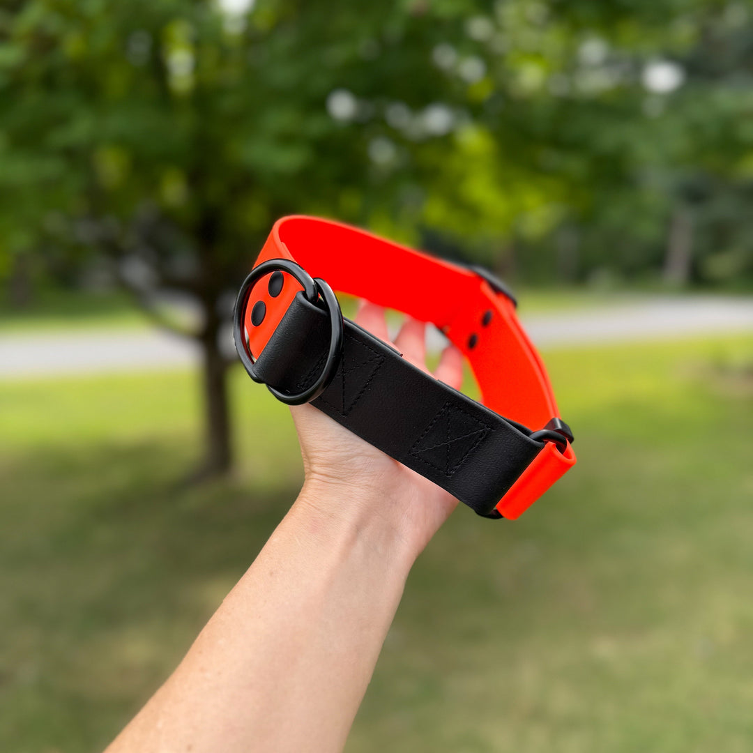Adjustable BioThane 1.5" Limited Slip Collar | SeaFlower Co