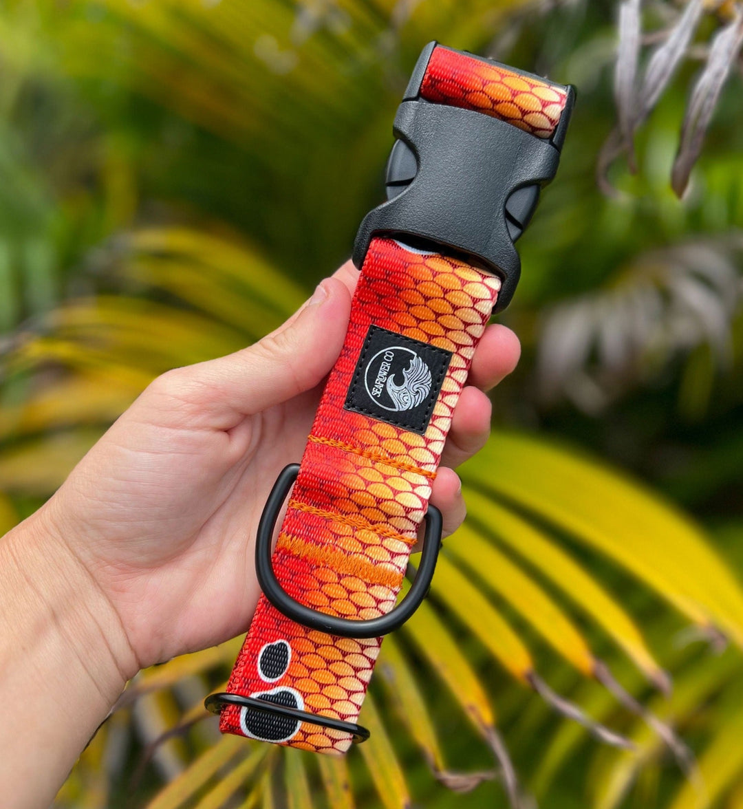 Redfish Scales Dog Collar | SeaFlower Co