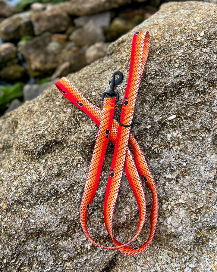 Redfish Scales Dog Leash | SeaFlower Co