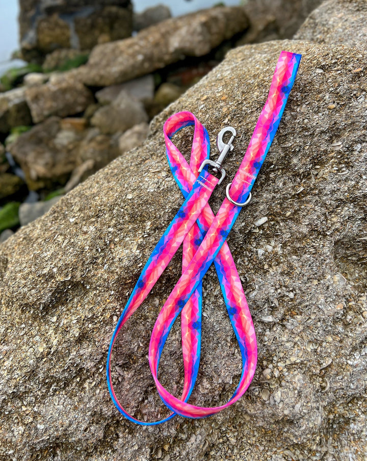 Vibrant Abstract Dog Leash| SeaFlower Co