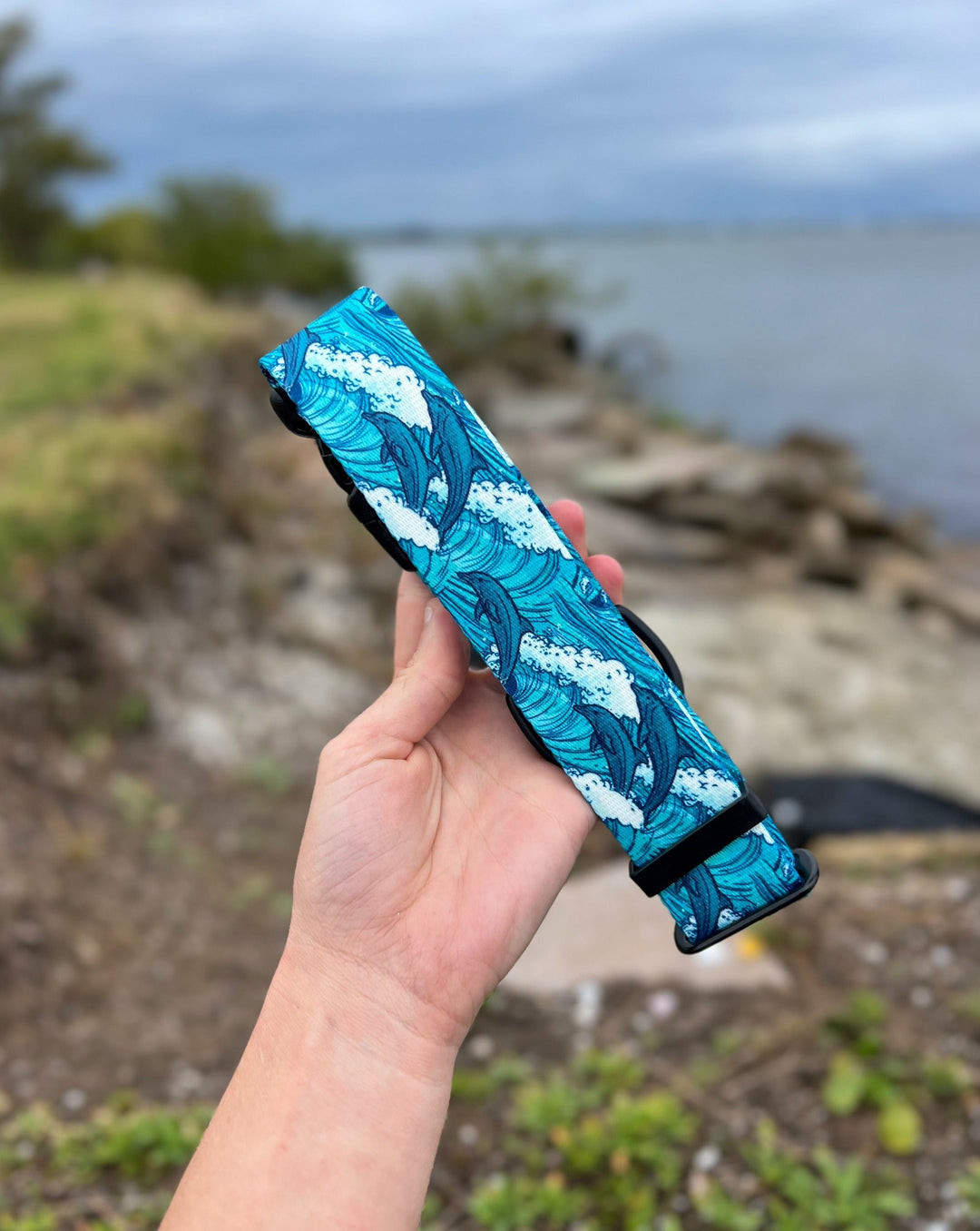Dolphins Durable Pet Collar | SeaFlower Co