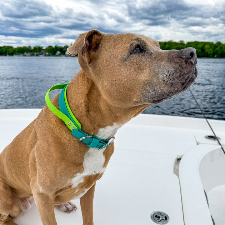 Fi Compatible 3/3+ BioThane® Collar With Quick Control Handle