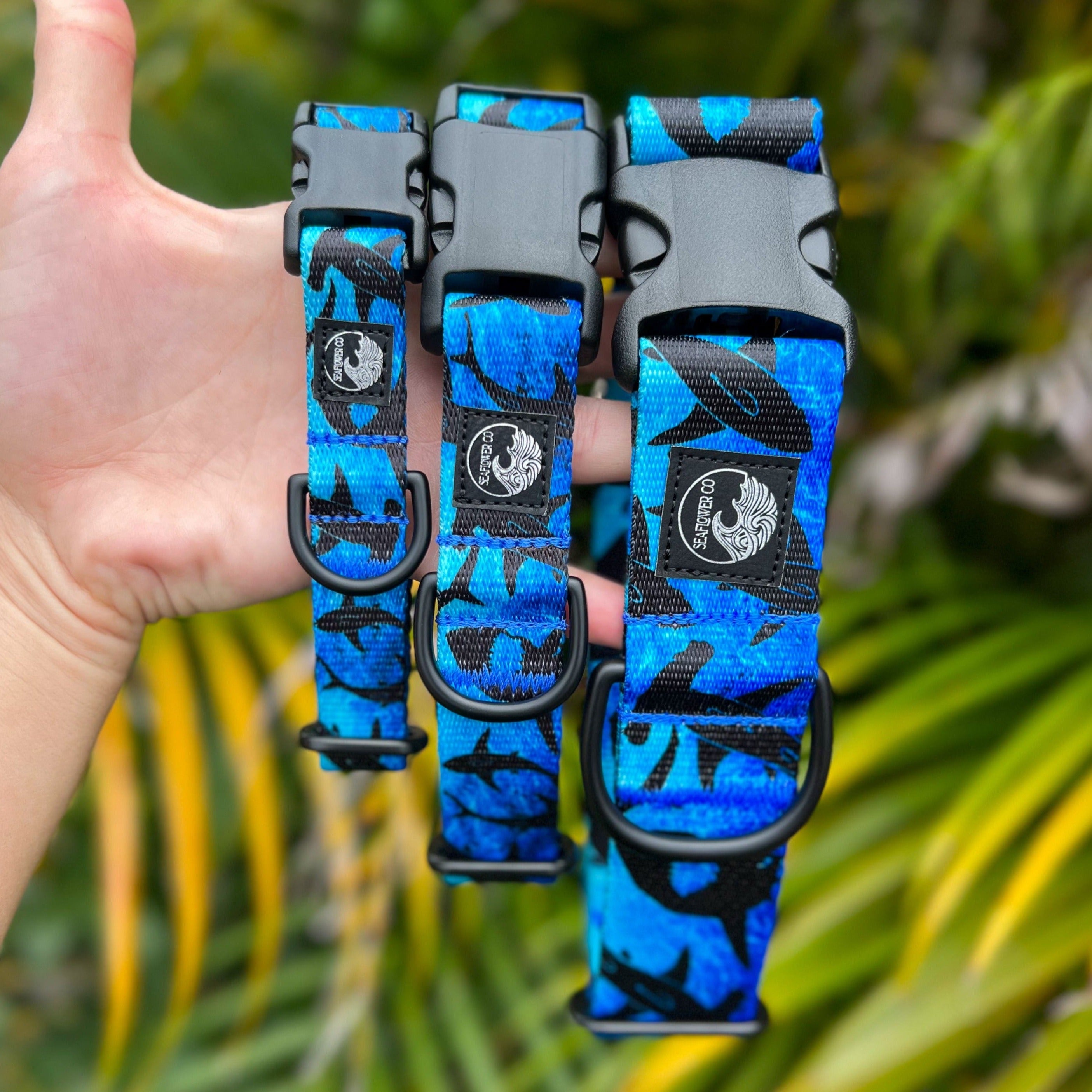 Shark dog fashion collars