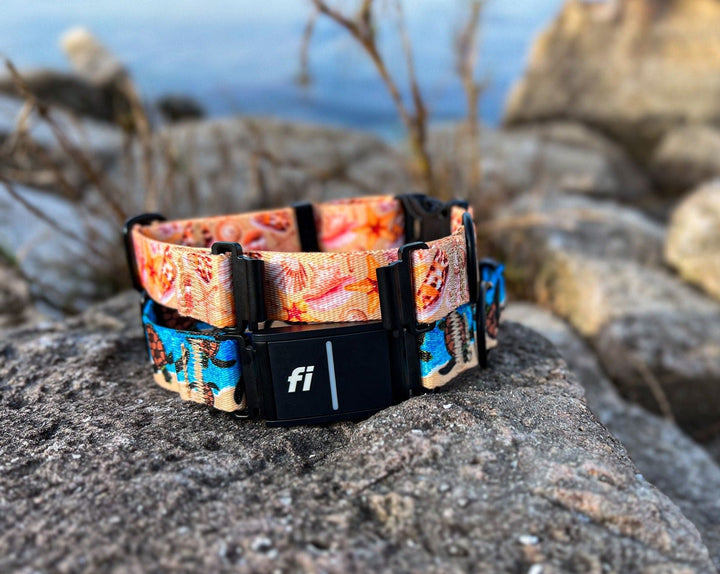 Fi 3 Compatible Collars | SeaFlower Co