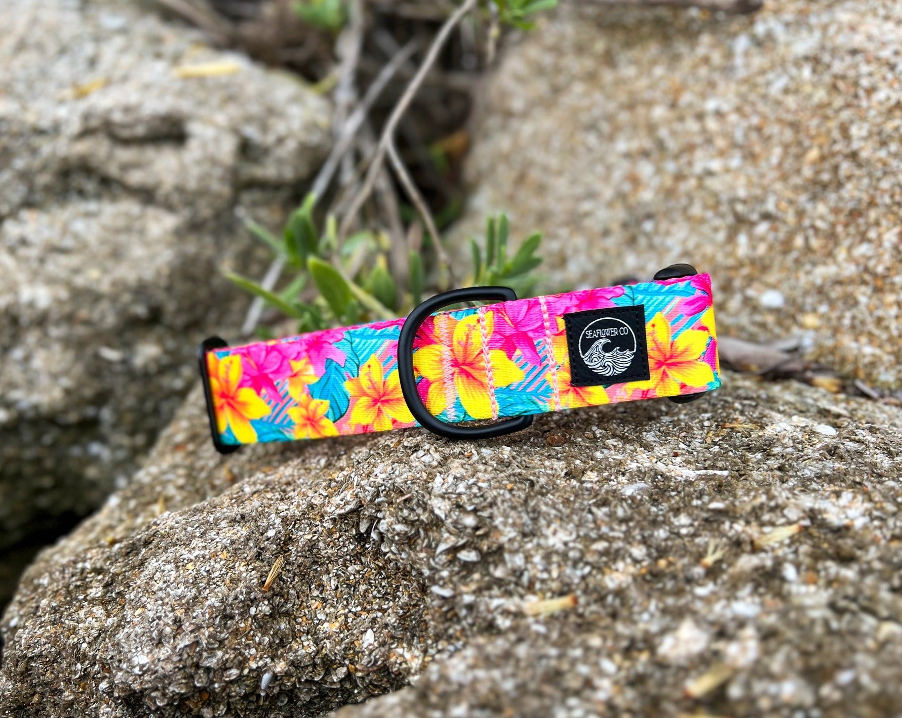 Hawaiian Floral Dog Collar | Stylish & Durable Pet Gear
