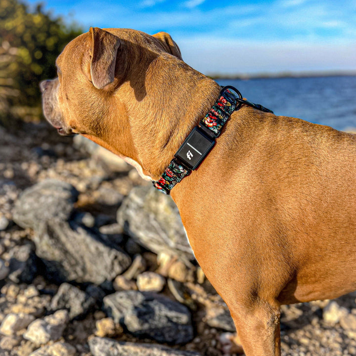 Fi Compatible Series 3 Collar | SeaFlower Co
