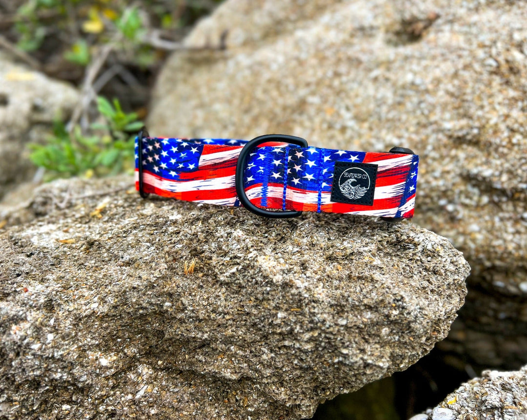 American Flags Dog Collar | SeaFlower Co