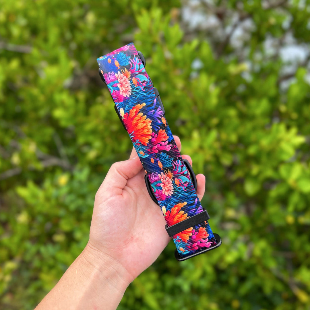 Coral Reef Dog Collar | SeaFlower Co