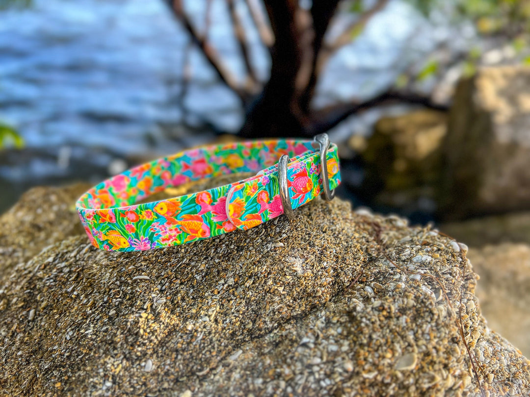 Tropical Fish Stink Proof Collar | SeaFlower Co