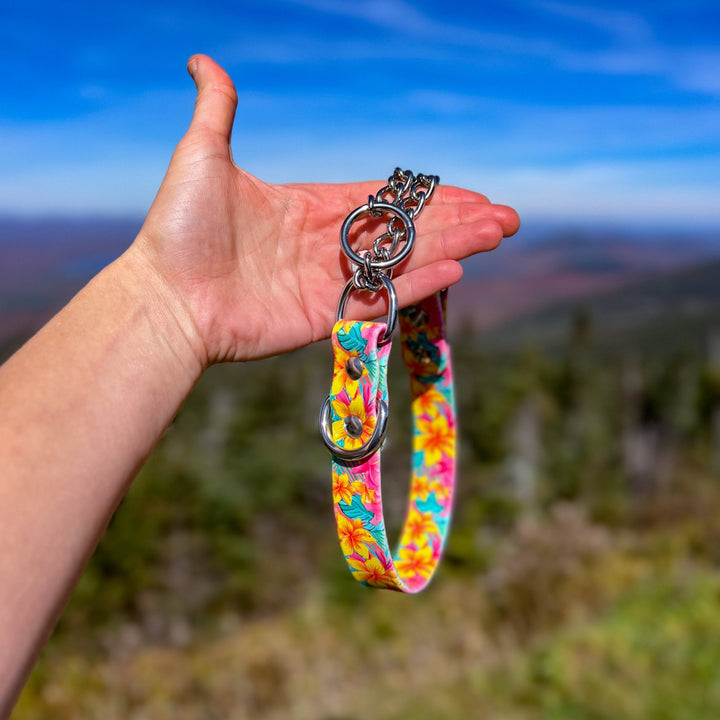 Patterned 1" Width BioThane® Martingale Collars