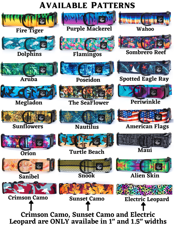 Fi Series 3/3+ Compatible Collars