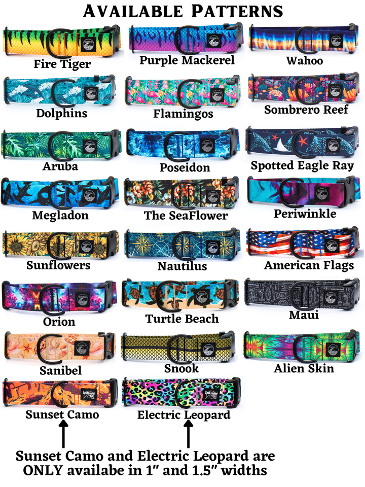 Martingale Collar With Buckle