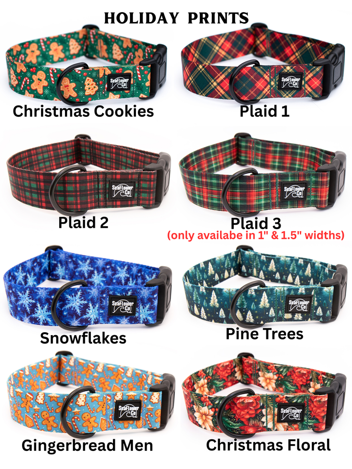 Harness With Neck Buckle | Available in 40+ Designs