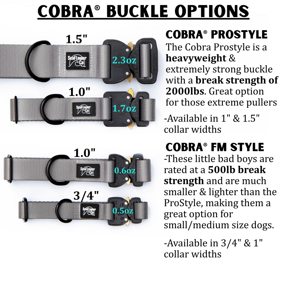 Fi Compatible Series 3/3+ Collars