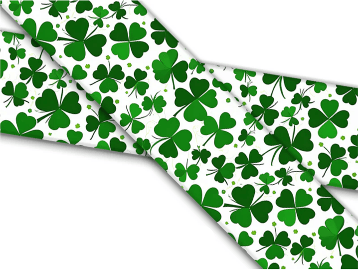 Custom Order-Fi 3/3+Compatible BioThane Collar With Quick Release