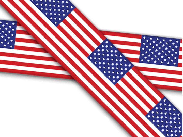 Custom Order-Fi 3/3+Compatible BioThane Collar With Quick Release