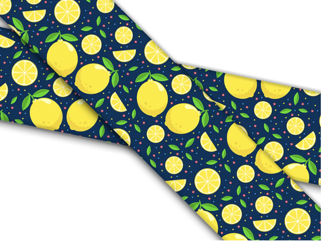 Custom Order-Fi 3/3+Compatible BioThane Collar With Quick Release