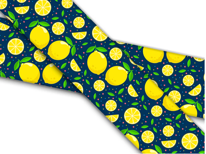 Custom Order-Fi 3/3+Compatible BioThane Collar With Quick Release