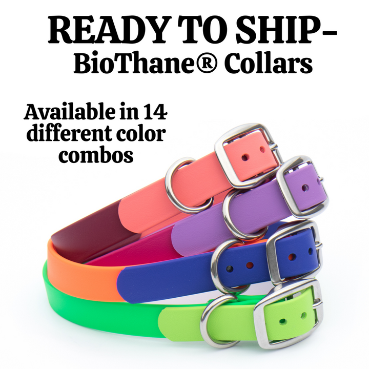 READY TO SHIP: BioThane® Collars-20% Discount applied at checkout