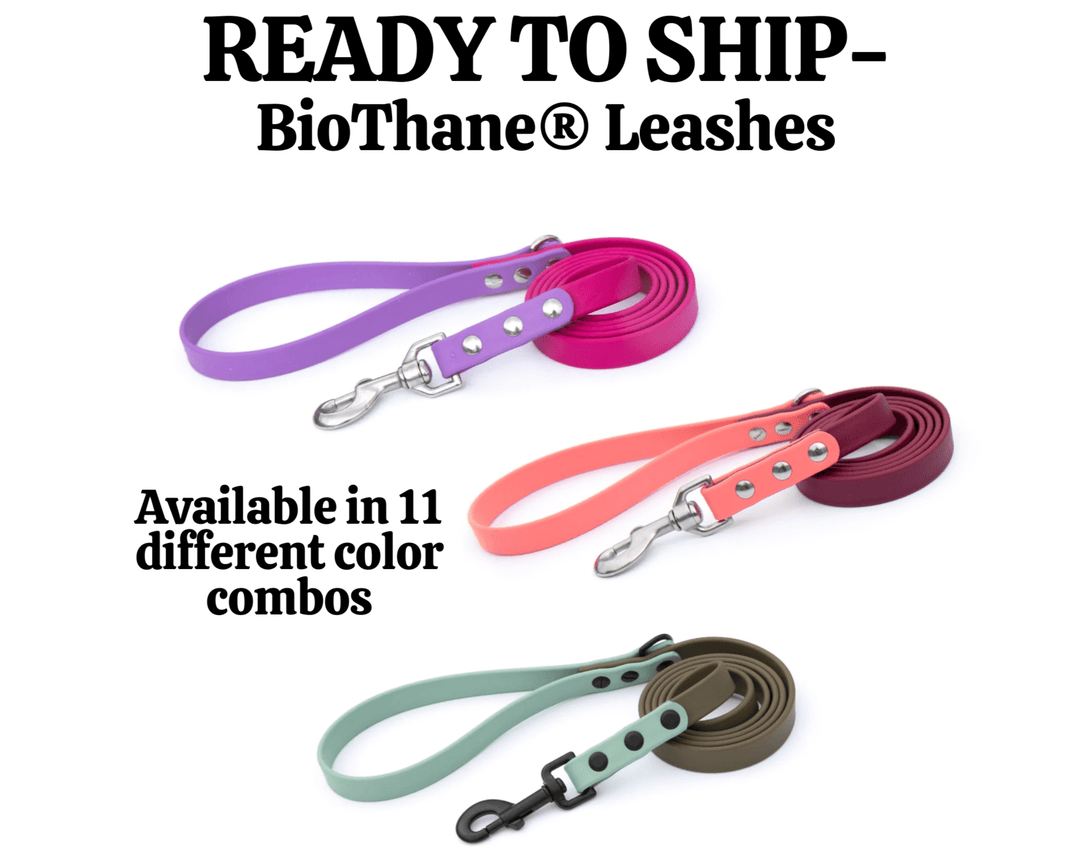 READY TO SHIP 5ft BioThane® Leashes-20% Discount applied at checkout