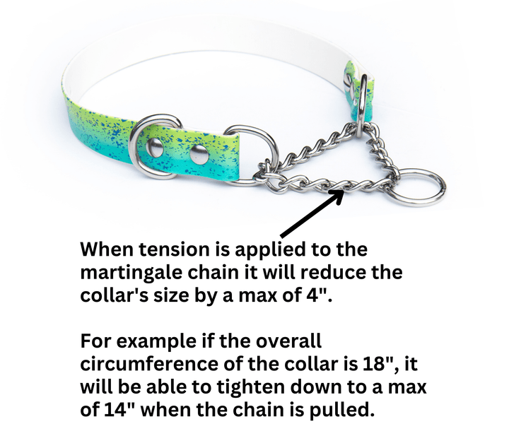 UV printed BioThane Martingale Collar | Waterproof Dog Gear