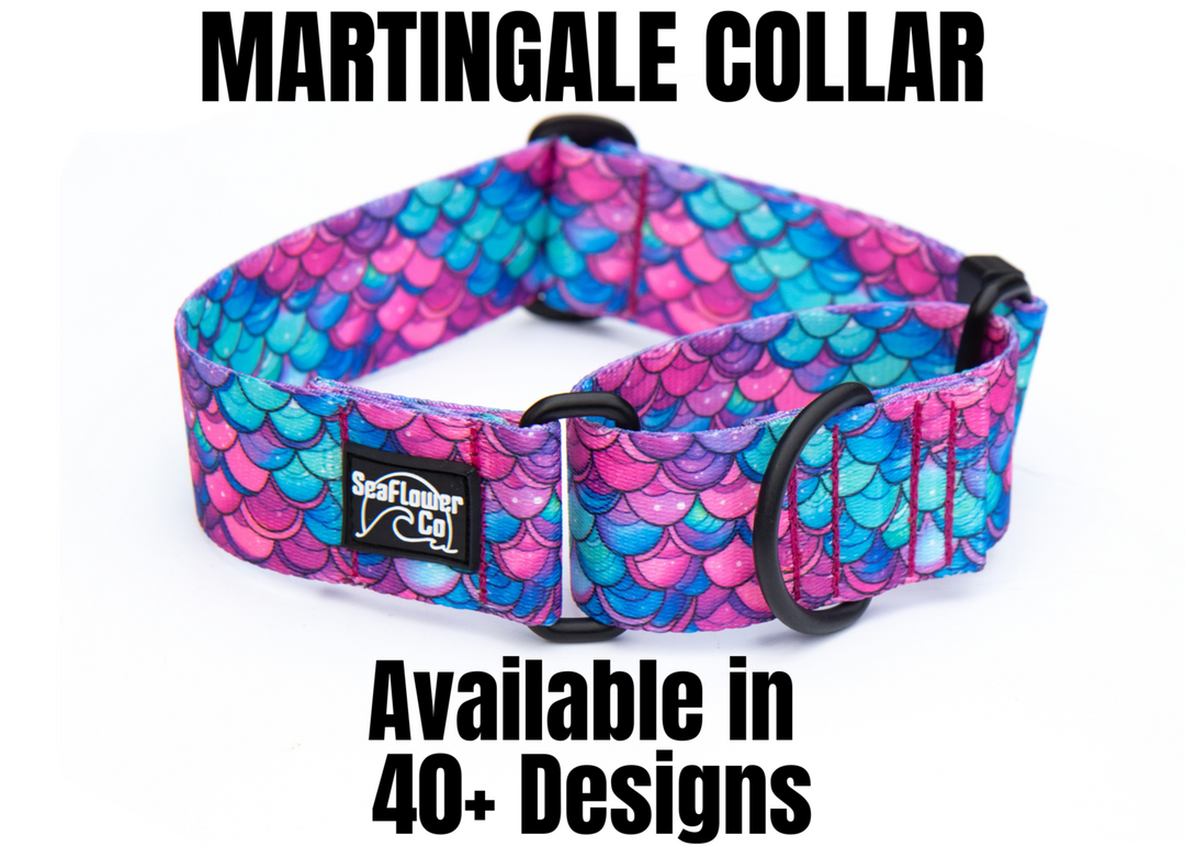 Mermaid Scales Martingale Dog Collar | SeaFlower Co