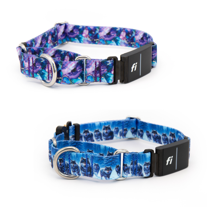 Fi Compatible 3/3+ Martingale Collar | SeaFlower Co