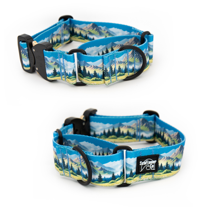 Martingale Collar With Buckle