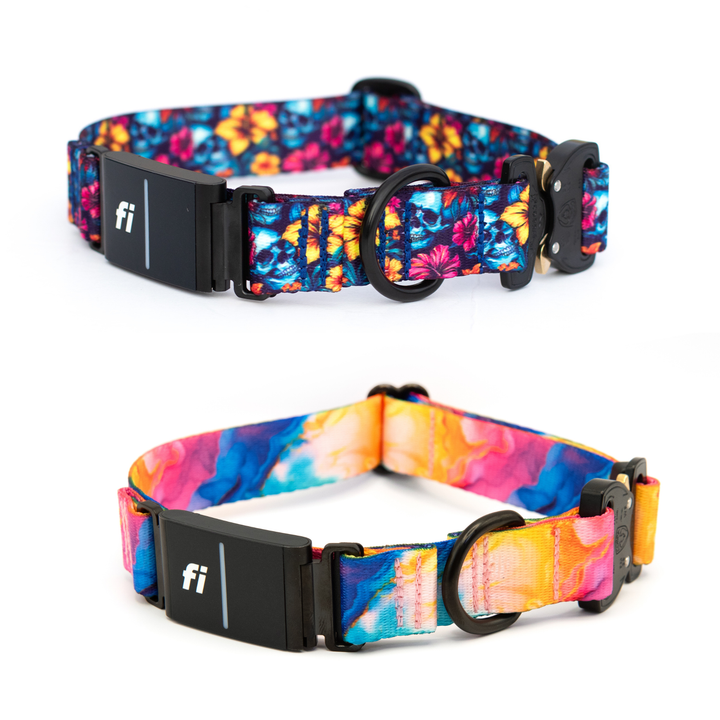 Fi Series 3/3+ Compatible Collars
