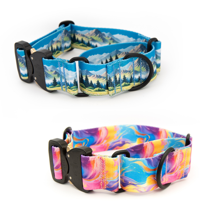 Fi 3/3+ Compatible Martingale Collar With Buckle