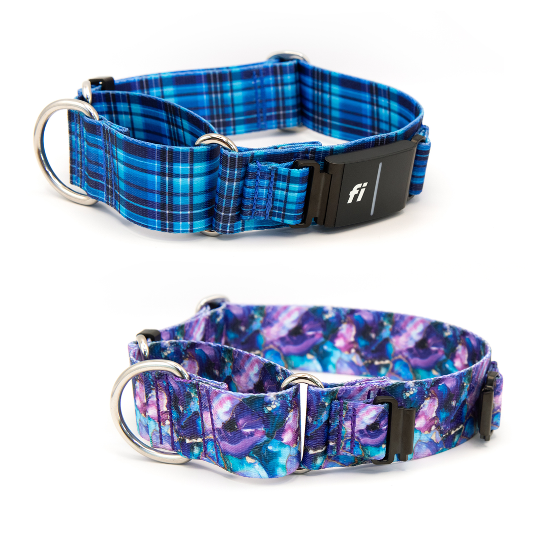 Fi 3/3+ Compatible Martingale Collar Without Buckle