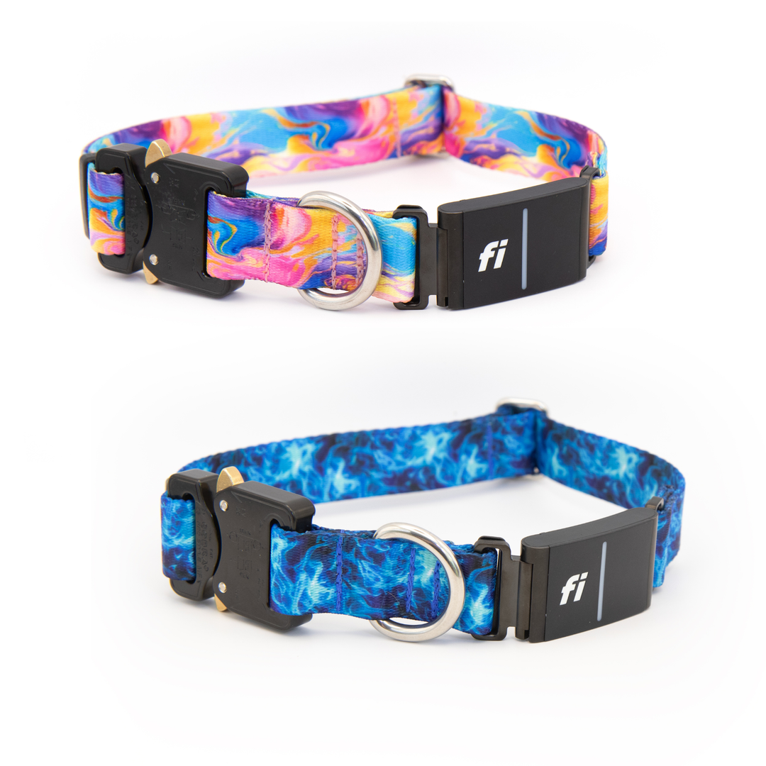 Fi Series 3/3+ Compatible Collars | 40+ Designs