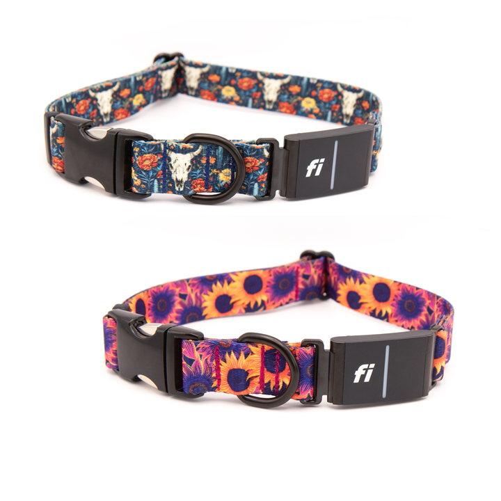 Fi Series 3/3+ Compatible Collars | 40+ Designs
