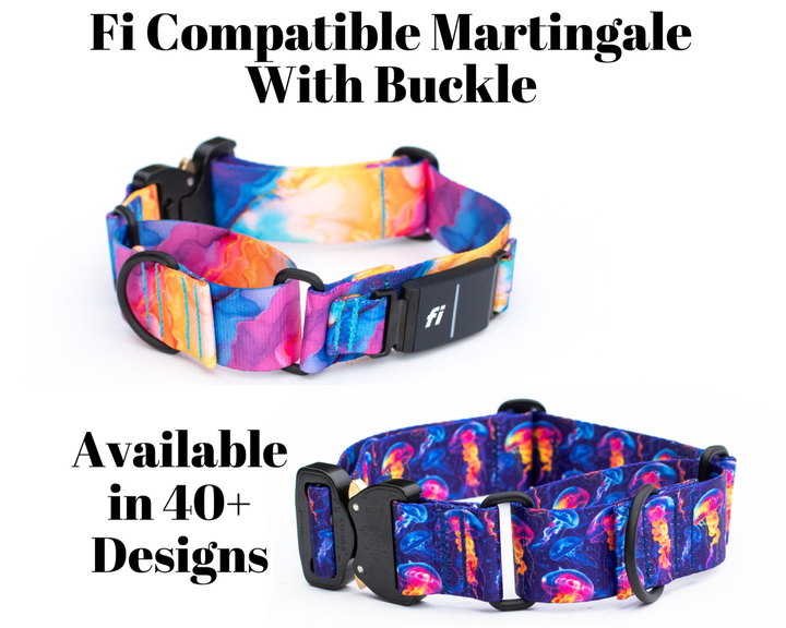 Fi 3 compatible martingale with a buckle