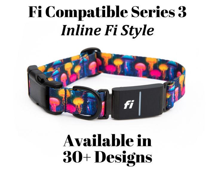 Fi Series 3 Compatible Collar | SeaFlower Co