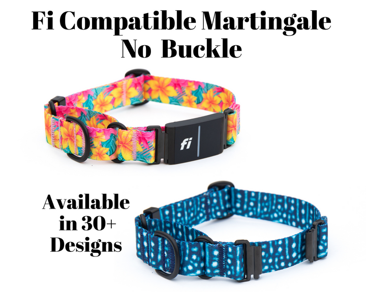 Fi compatible Series 3 Martingale