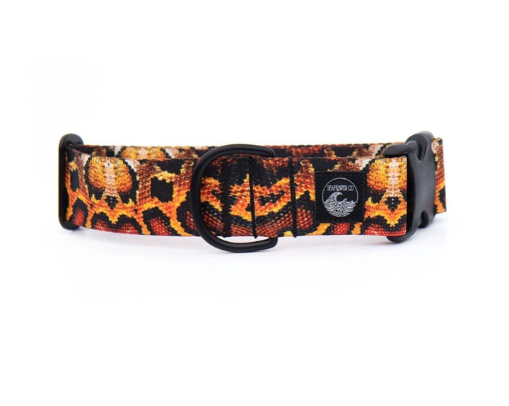 Snake Dog Collar | SeaFlower Co