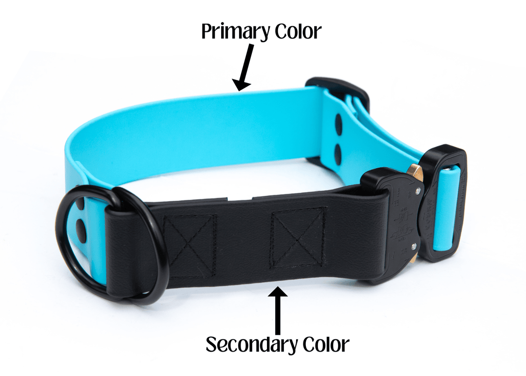 Dog collar with primary and secondary color labels on a white background