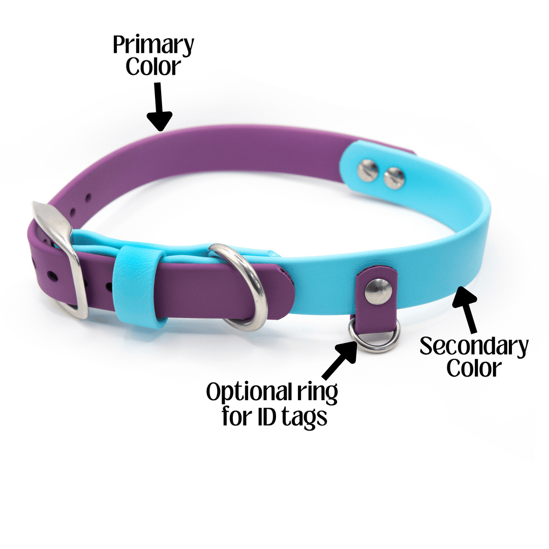 Two-tone purple and blue dog collar with labeled primary and secondary colors, and an optional ring for ID tags.