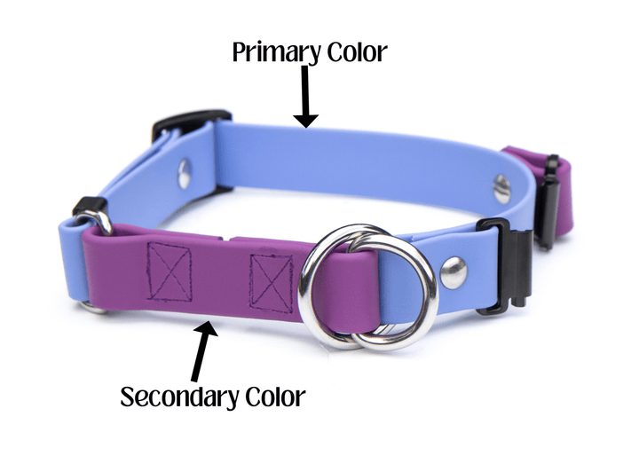 Fi Compatible Series 3/3+ Limited Slip BioThane Collar | SeaFlower Co