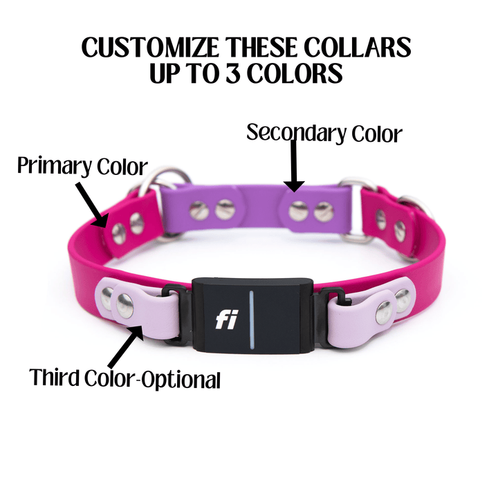 Fi Compatible Series 3 - Limited Slip BioThane® Collar