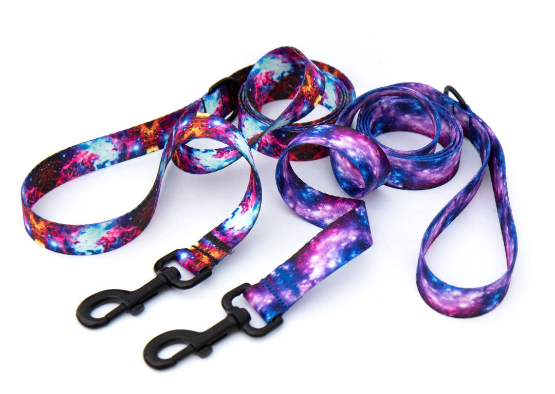 Galaxy Dog Leashes