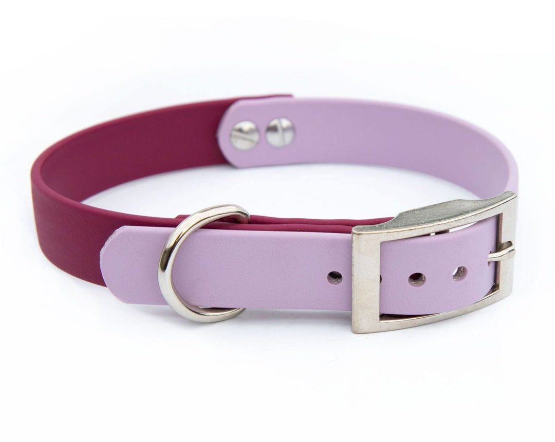 Wine & Lavender Waterproof Dog Collar | SeaFlower Co