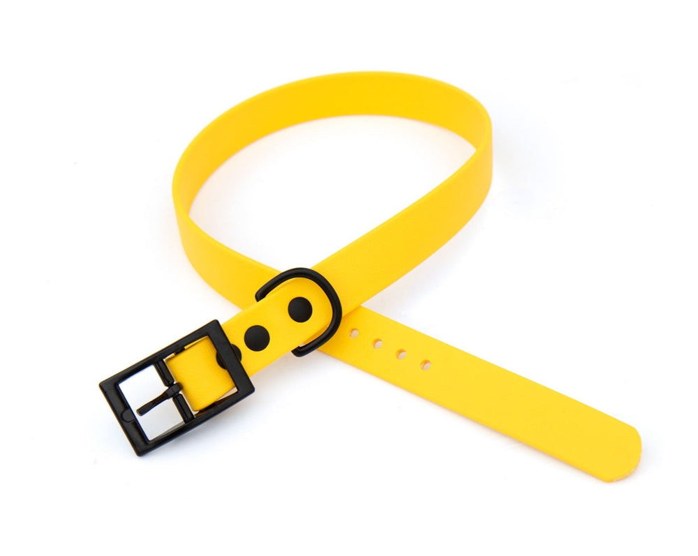 Yellow Waterproof Collar | SeaFlower Co