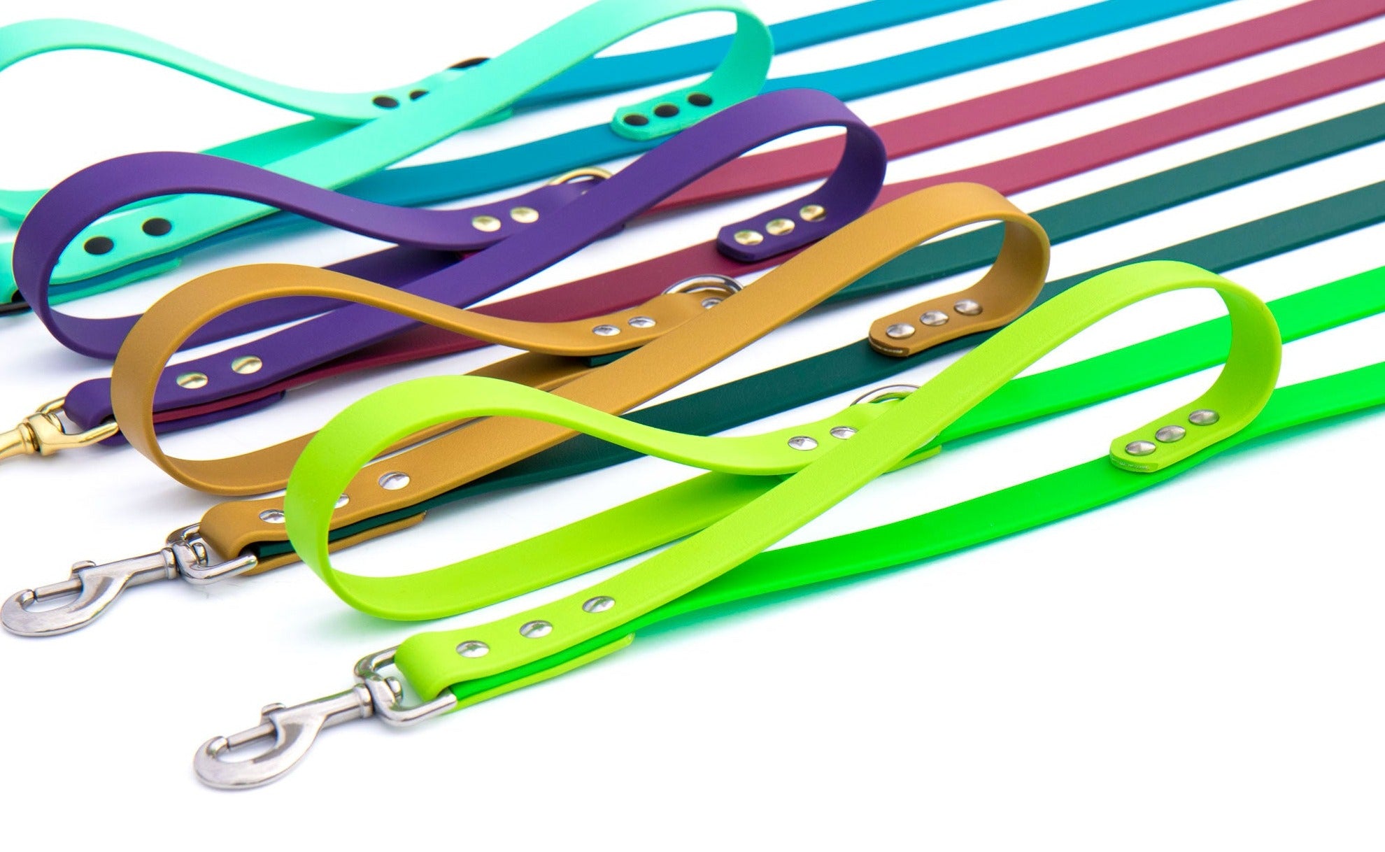 Leash company outlet