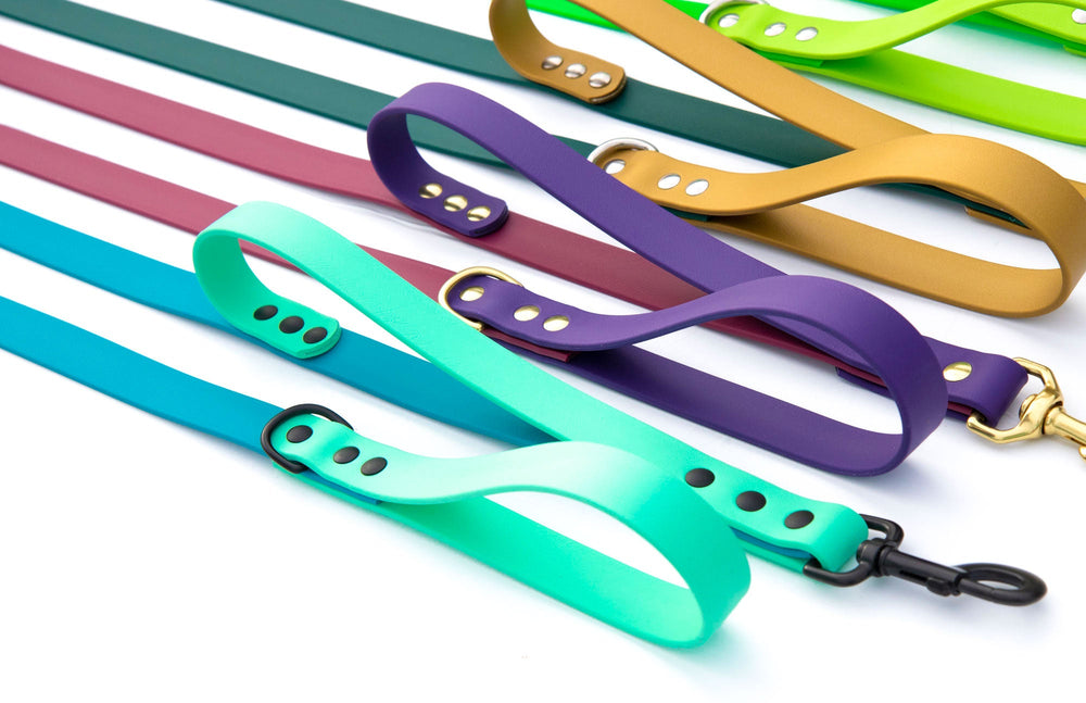 BioThane Leash With Traffic Handle | SeaFlower Co